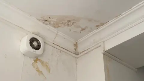 Delia Ioana/BBC White corner of ceiling with black mould on