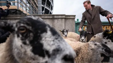 PA Media A sheep looks inches away from the front of a camera as actor Damian Lewis herds sheep behind the animal with the london skyline in the backdrop