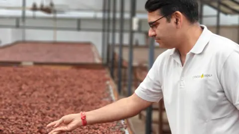 Kocoatrait Nitin Chordia, founder of Kocoatrait, reaches forward to handle some drying cocoa beans.