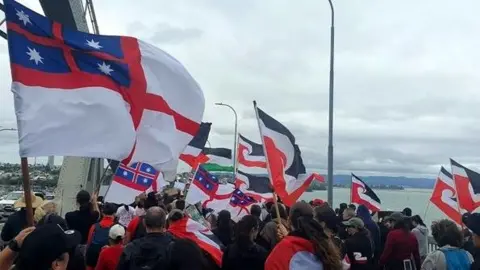 Danielle Moreau A group of people holding flags is seen walking from behind