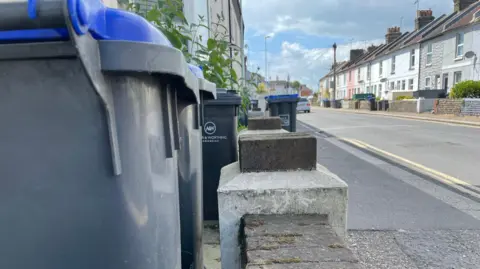 Wheelie bins outside Sue's home in Worthing 