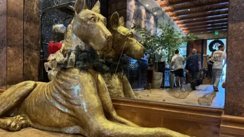 Stephen Greaves/BBC News A massive golden Great Dane sculpture is seen in the lobby of The Ben hotel