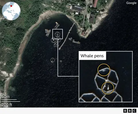 Google Aerial satellite image of what appear to be beluga whales in pens close to a marine base near Murmansk