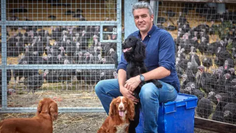 Tom Copas Turkey farmer Tom Copas sitting on a blue crate, with a dog on its hing legs, resting a paw on his knee. Two other dogs are standing near him in the foreground. In the background behind a metal gate and fence, there is a large flock of turkeys.