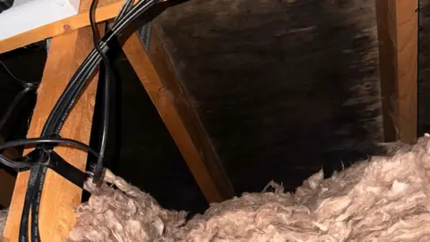 Black mould staining the underside of the roof in a household's loft on Florence Close