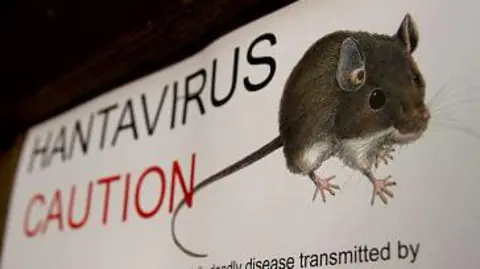 Getty Images A sign with an illustration of a mouse reads 