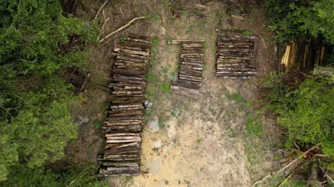 BBC / Paulo Koba Drone footage shows logs piled up in the Amazon rainforest.