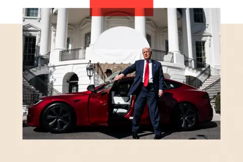 Getty Images Donald Trump stands next to a Tesla in front of the White House